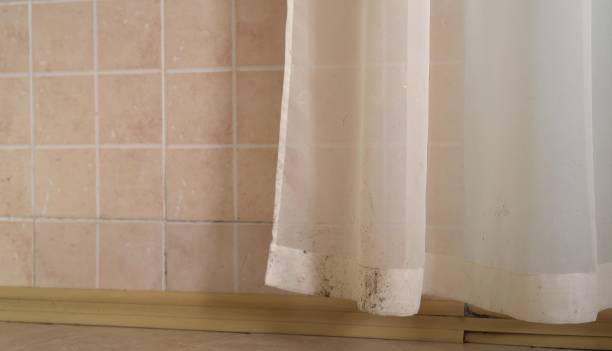 Best Mold Prevention Services  in Locust Grove, GA