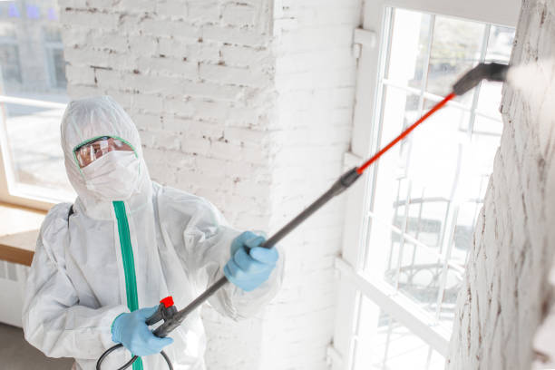 Best Air Quality Testing for Mold Spores  in Locust Grove, GA