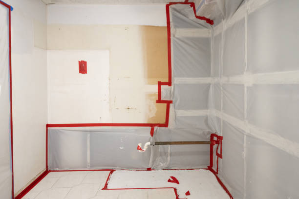 Mold Remediation for Vacation Homes in Locust Grove, GA