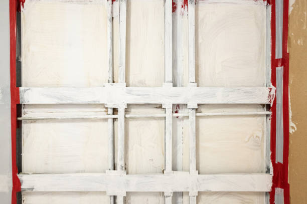 Professional Mold Removal in Locust Grove, GA