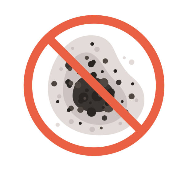 Best Mold Odor Removal Services  in Locust Grove, GA