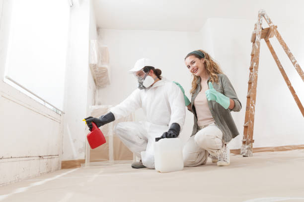 Best Commercial Mold Inspection  in Locust Grove, GA