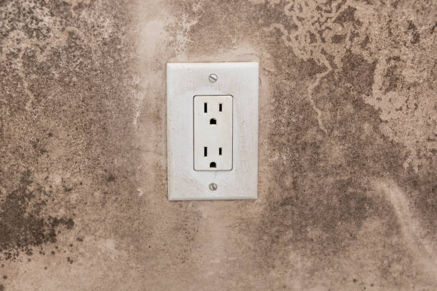 Best Emergency Mold Remediation  in Locust Grove, GA